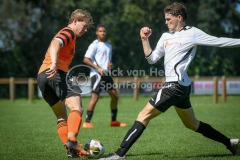 NVH_0586