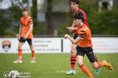 NVH_0638