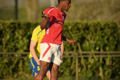 NVH_0674