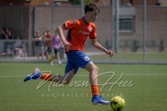 NVH_0571