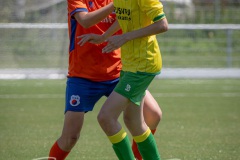 NVH_0687
