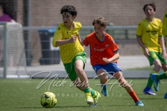 NVH_0754