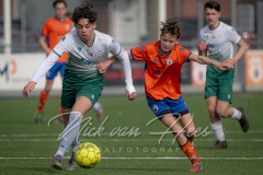 NVH_0119