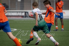 NVH_0519