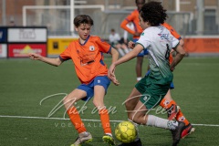 NVH_0676