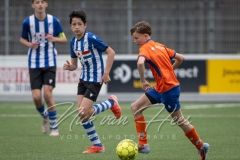 NVH_0597