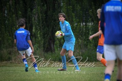 NVH_0687