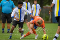 NVH_0254
