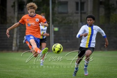 NVH_0296