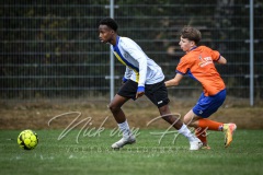 NVH_0470