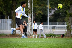 NVH_0498