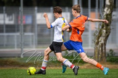 NVH_0539