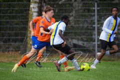 NVH_0559
