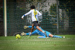 NVH_0606