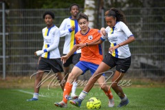 NVH_0629