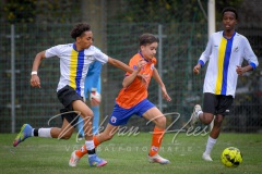 NVH_0736