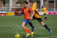 NVH_0144