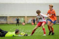 NVH_0907