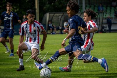 NVH_0805