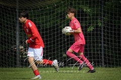 NVH_0946