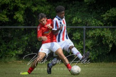 NVH_0949