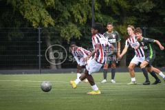 NVH_0606