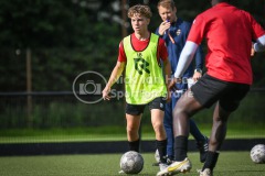 NVH_0365