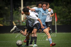 NVH_0251