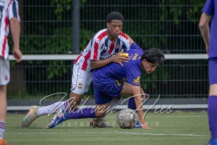 NVH_0357