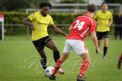 NVH_0593