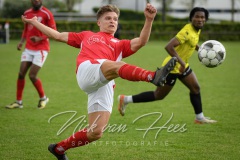NVH_0597