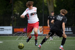 NVH_0354